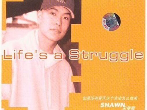 Life's a Struggle - 宋岳庭